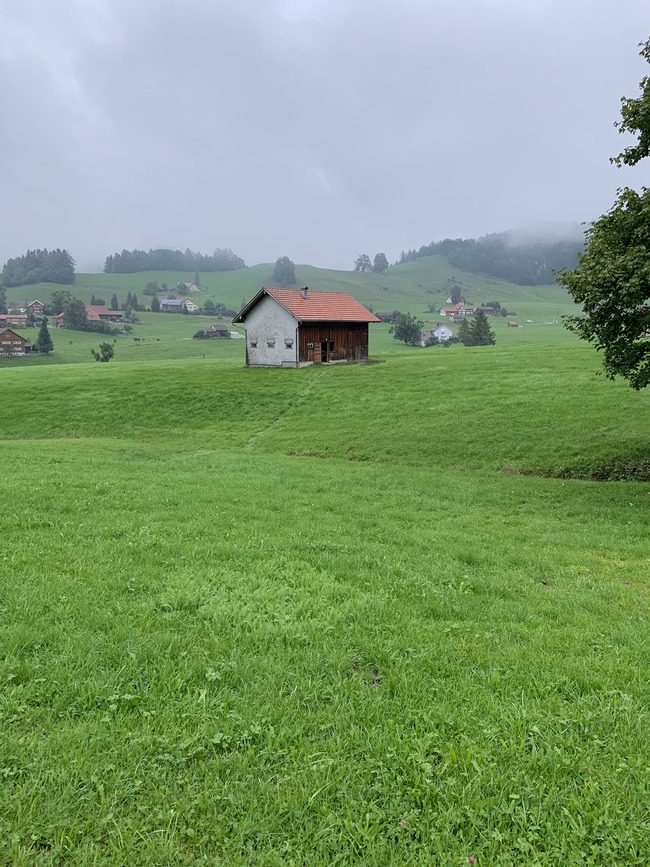 20190906_c12_klang_moor_schopfe_12