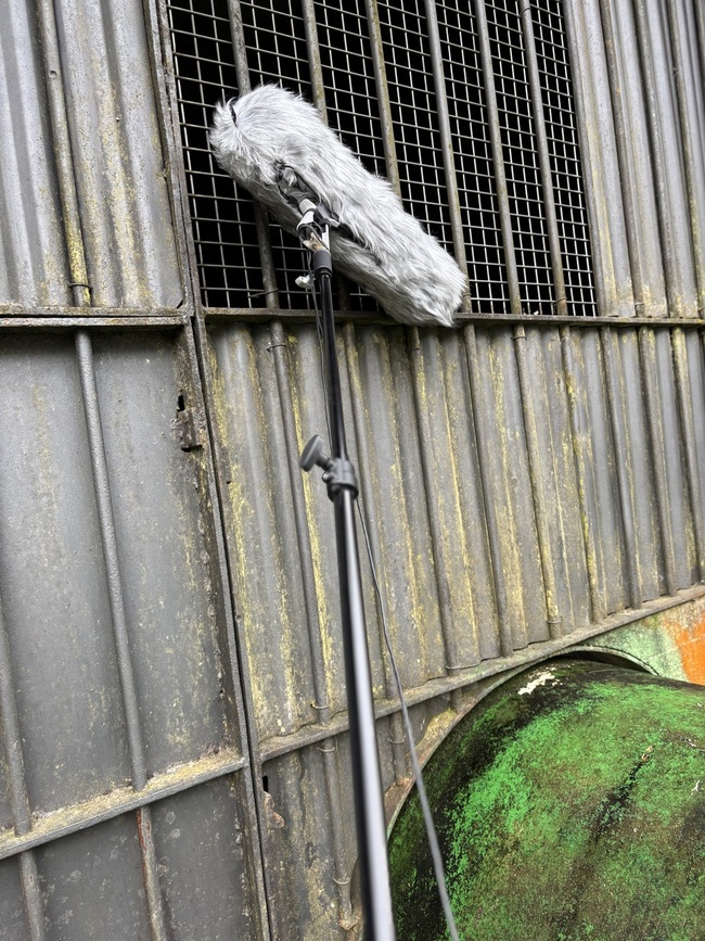 20250423-roveska-recordings-3